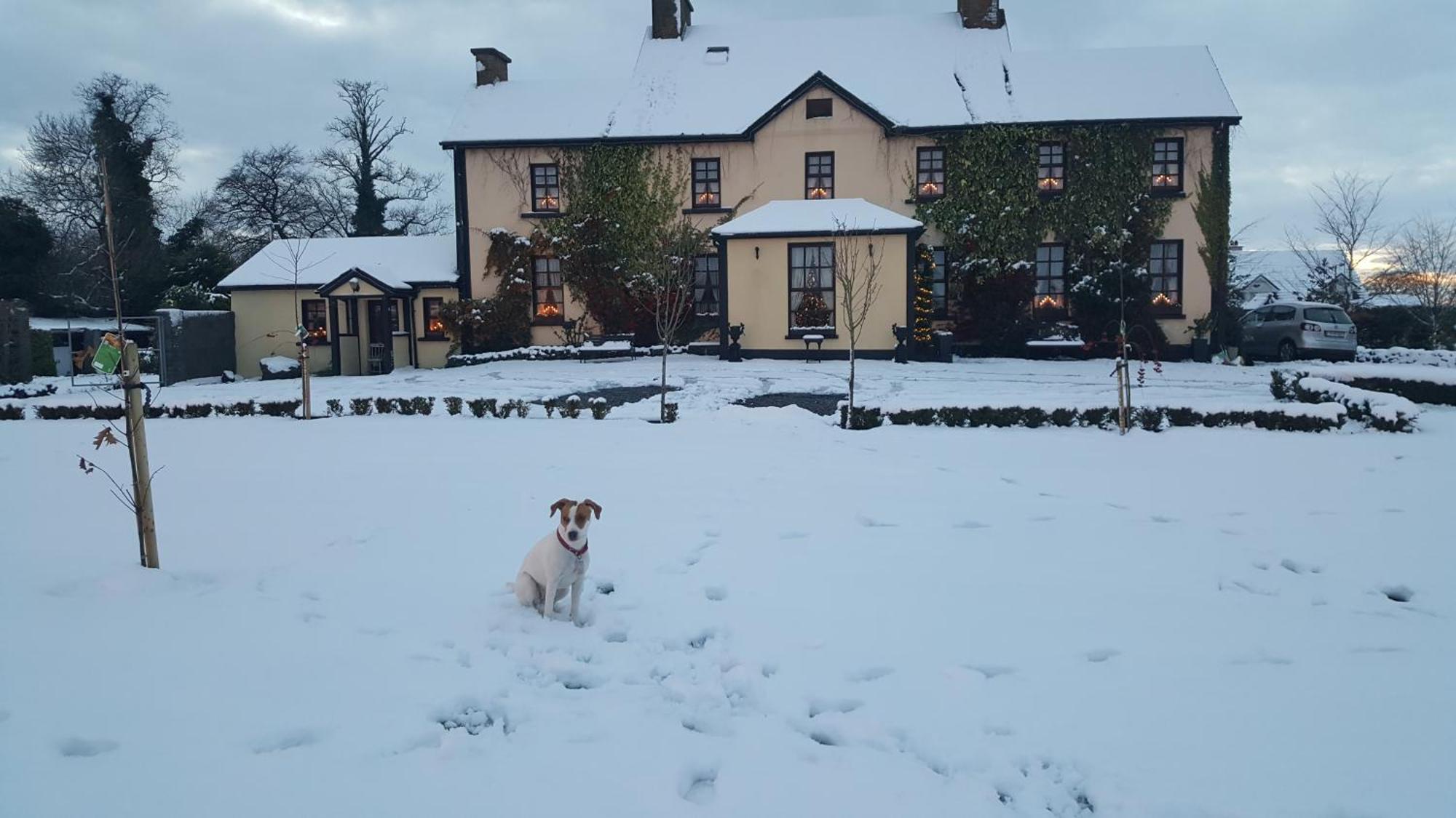 Charlotte'S Way B&B Banagher Dış mekan fotoğraf
